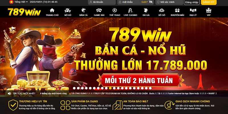 Hướng dẫn sử dụng 789win